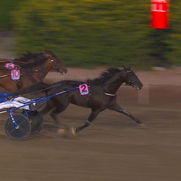 Daniel Wäjersten och Borups Victory vinner loppet.