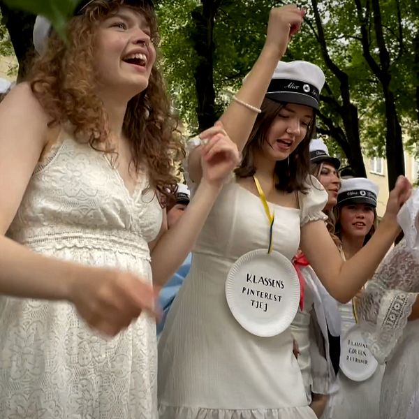 studenter