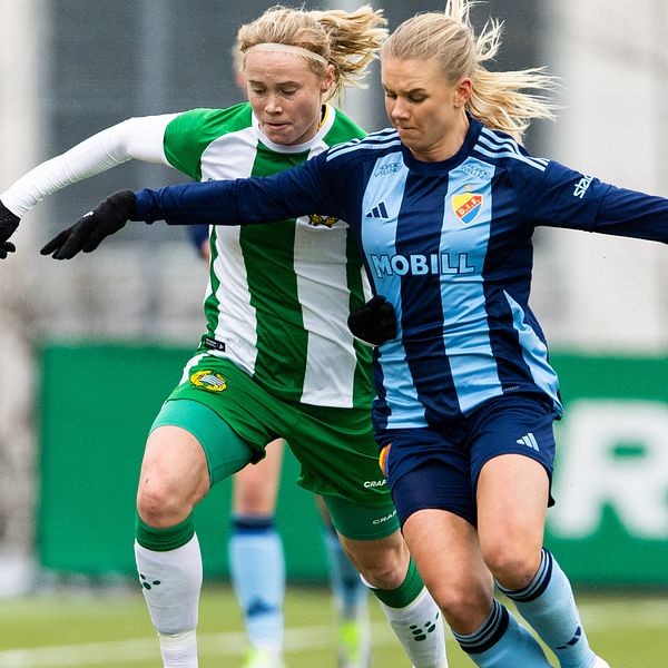 Hammarby Djurgården