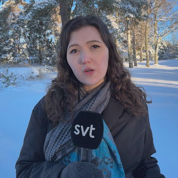 bilden visar svts reporter Dahlia Poignant Khafagi på plats vid Skutberget, där skjutningen ägde rum i februari 2024.