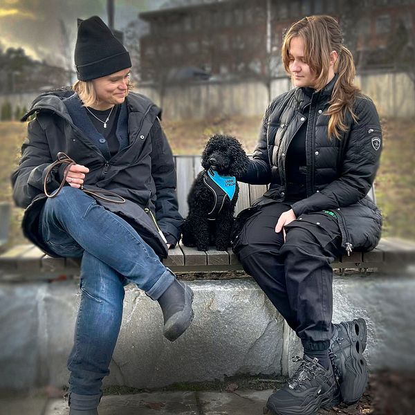 Två personer sitter på en bänk med en svart hund mellan sig.