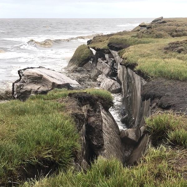 Bild på hav som möter gräsklippor och permafrost rasar ned i havet