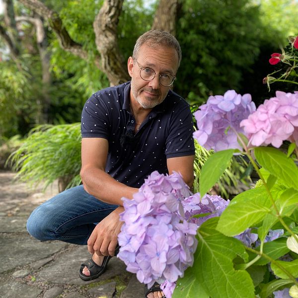 Trädgårdsodlare Per Härdin bakom blommor i sin trädgård