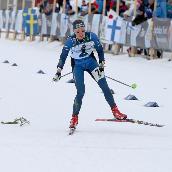 Tove Alexandersson, skidorientering.