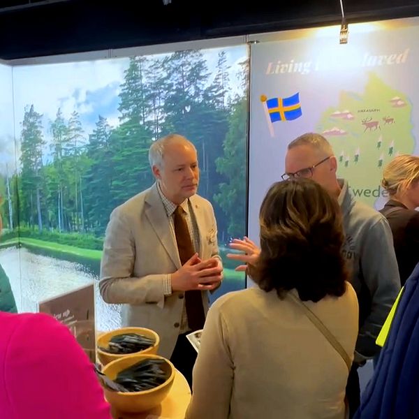 Anton Sjödell (M) samtalar med besökare på emigrationsmässan i Nederländerna.