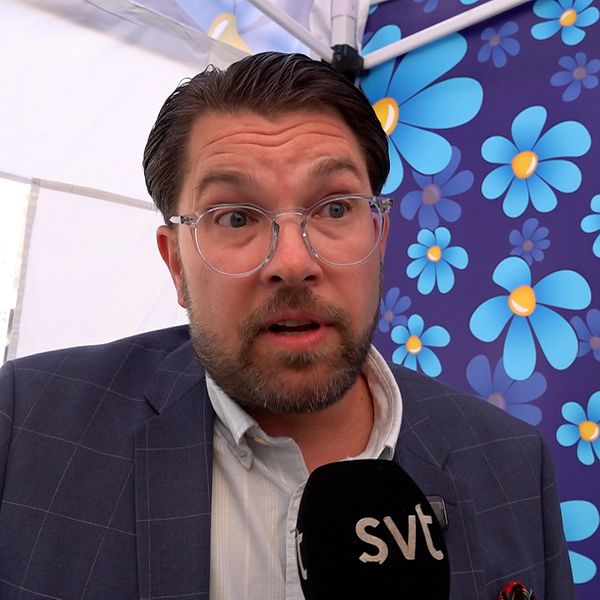 Jimmie Åkesson mot blå vägg i intervju efter Kalla faktas granskning.