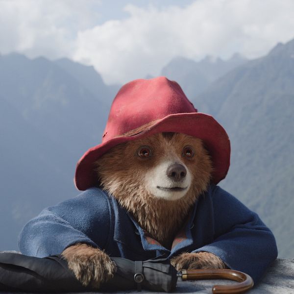 Paddington i en stor röd hatt och blå kappa sitter vid en bergskant med en storslagen vy av fjäll i bakgrunden.
