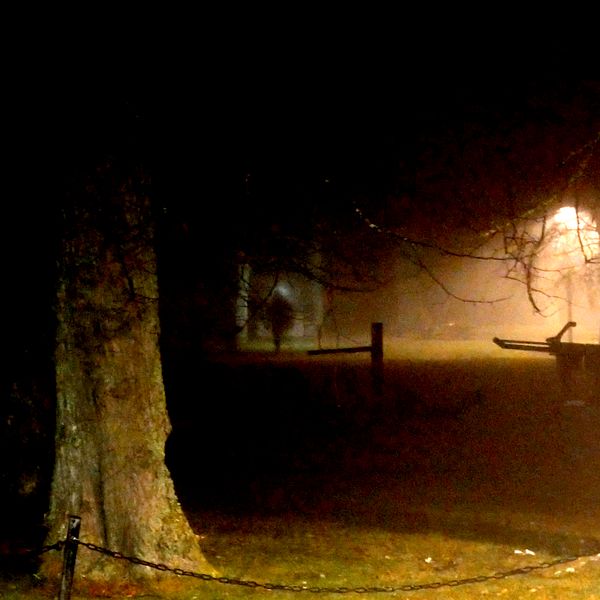 Mörk park med dimma och svagt upplysta träd och gangväg.