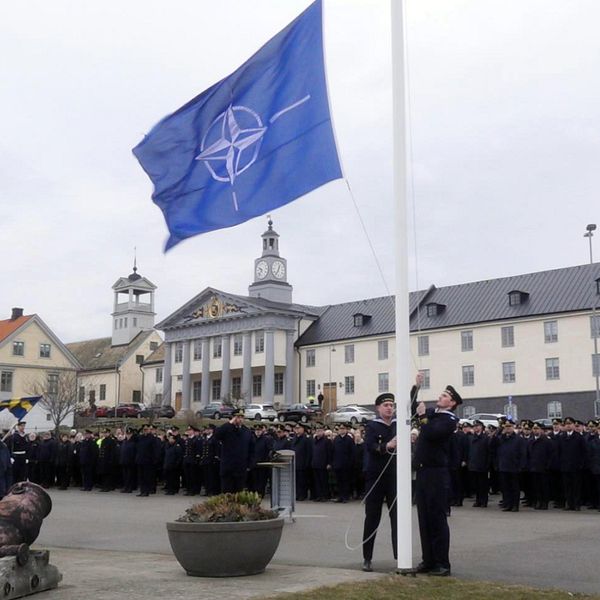 Matoflagga hissas på marinbasen i karlskrona