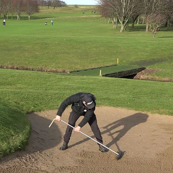 En person krattar en bunker på en golfbana, med gröna fairways och träd i bakgrunden.