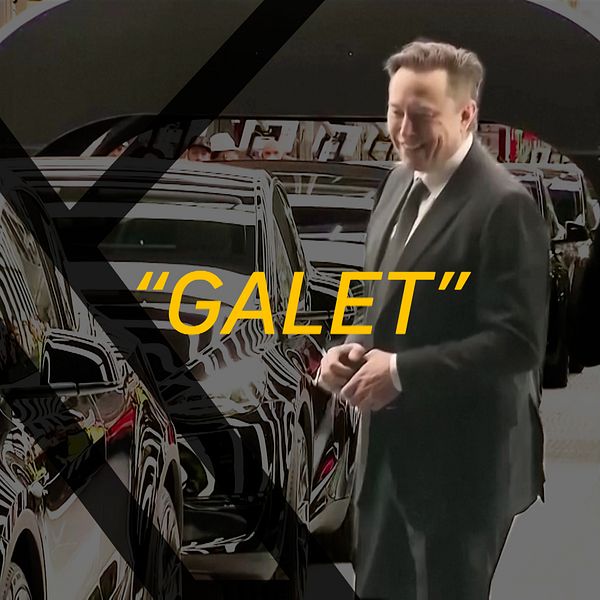 Elon Musk dansar bland bilar