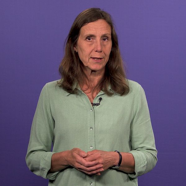 Kristina Lagerström, reporter