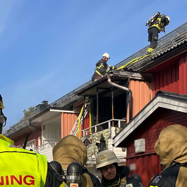 räddningspersonal på taket på en fastighet