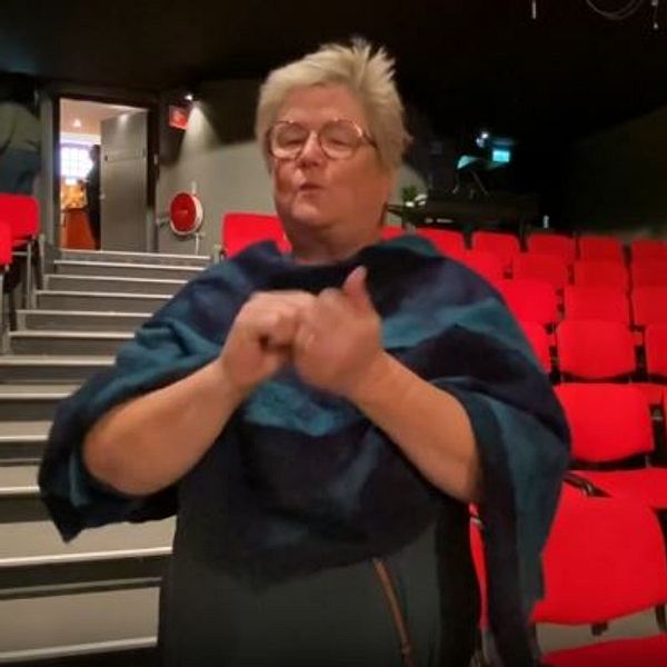 SDR förbundordförande