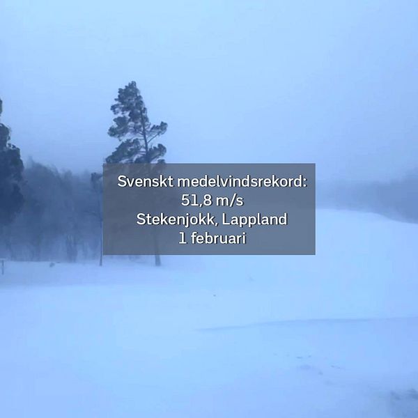 SVT:s meteorolog Per Stenborg sammanfattar det svenska februarivädret 2024 på en och en halv minut.
