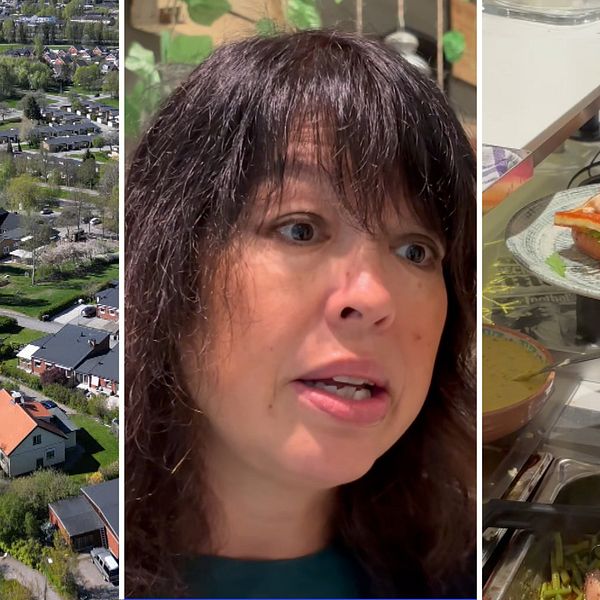 Södertälje kommun utses till Sveriges miljöbästa kommun, med natur och hållbar mat i fokus