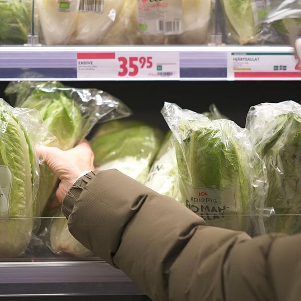 Kvinna som väljer romansallad i en matbutik.