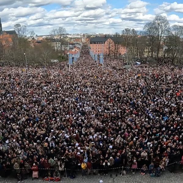 Flera personer i carolinabacken i Uppsala