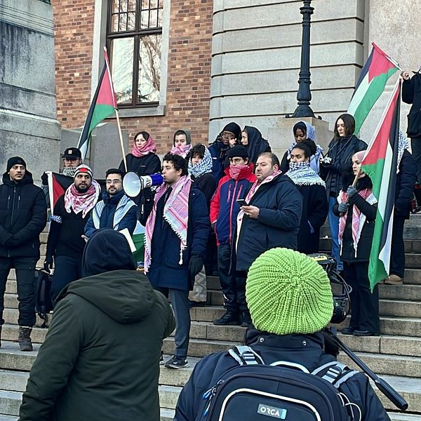 Personer står samlade på trapporna till en byggnad, där en person talar i en mikrofon. Många håller palestinska flaggor och bär skalar eller halsdukar. Några personer står i bakgrunden och lyssnar, medan andra ser mot talaren.