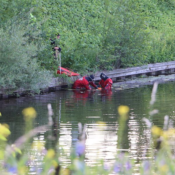 Två rödklädda personer i vatten bland gröna buskar