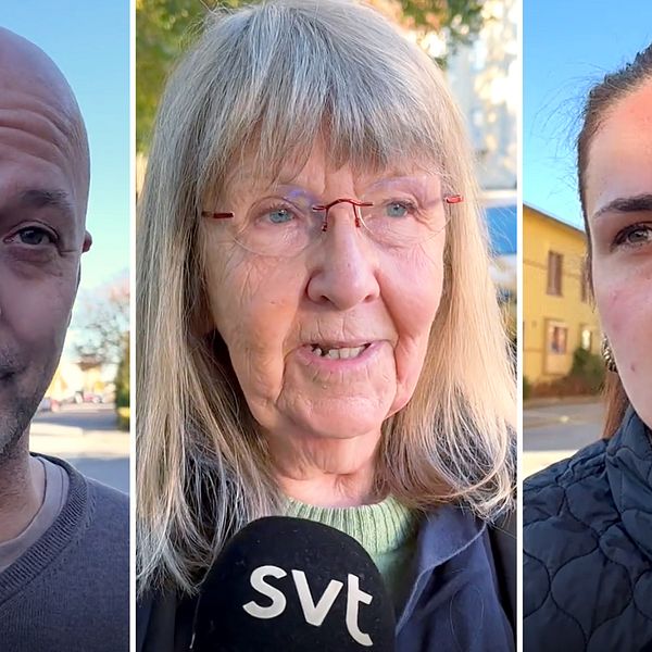 Tre personer står i en rad på gatan, med kort hår, längre hår och en hårknut. De håller mikrofoner med SVT-logotypen, och omgivningen visar träd och byggnader i bakgrunden.