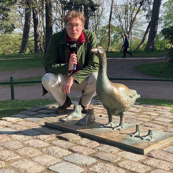 Man håller mikrofon och sitter vid staty av vid vandaliserad staty av gås på stenlagd yta i park.