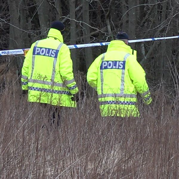 Poliser vid avspärrning i skog.