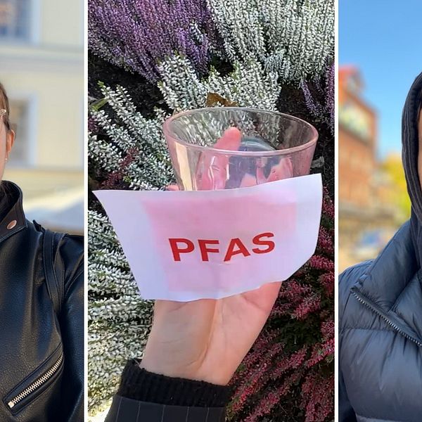 En delad bild som visar tre situationer. Första sektionen visar en person på en stadsmiljö, klädd i en svart läderjacka. Den andra sektionen visar en hand som håller ett glaskärl med en vit servett där ”PFAS” är skrivet i röd text, omgiven av blommor. Tredje sektionen visar en annan person utomhus, klädd i en mörk jacka.