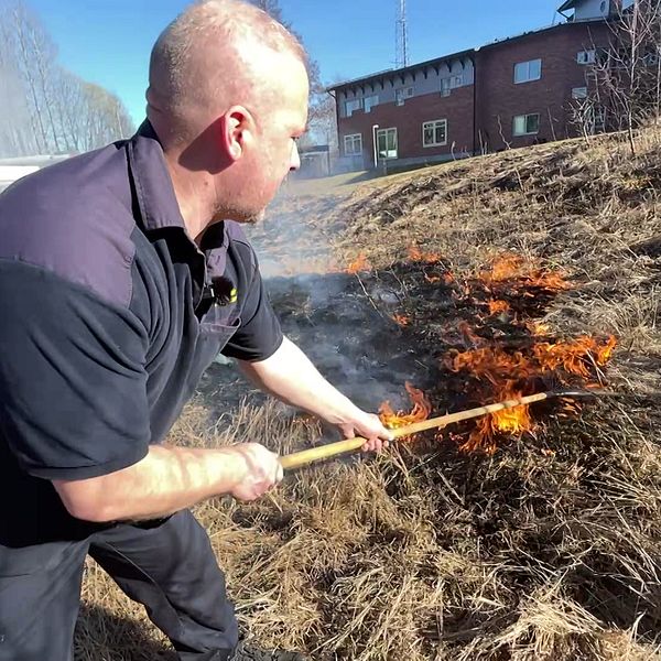Person släcker gräsbrand med kratta. Bakgrund: byggnader och blå himmel.