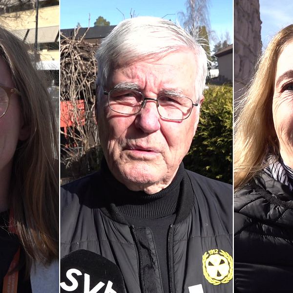 Tredelad bild. Vänster: person med långt hår. Mitten: person med jacka och mössa. Höger: person med halsduk.