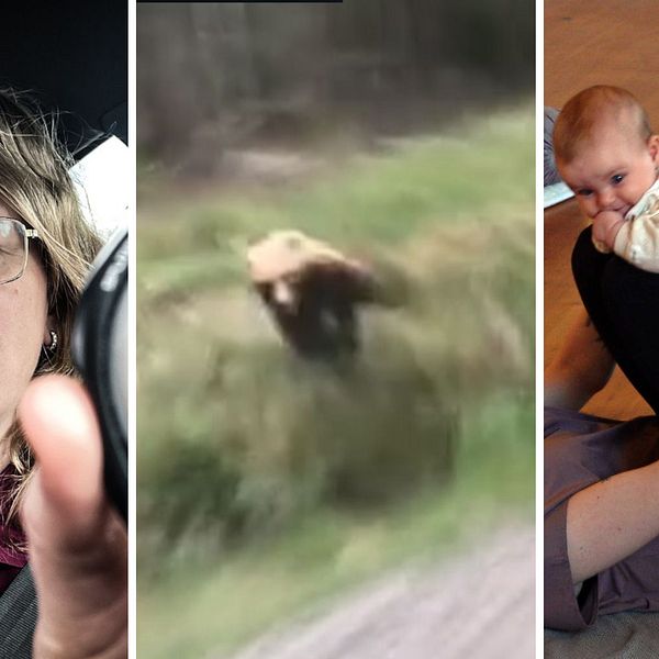 Bilder från veckans nyheter: Hemtjänstpersonal, björnattack och bebisyoga