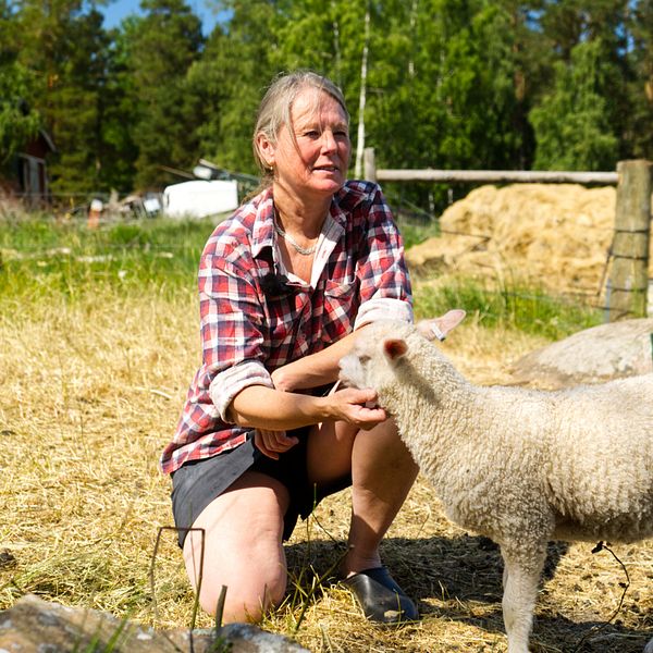 Kvinna med får i hage