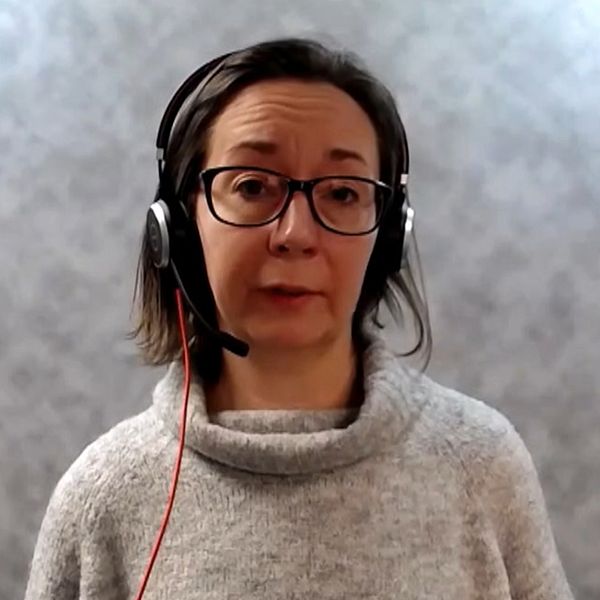 Bild från videosamtal med konsumentvägledaren Viktoria Fredholm.