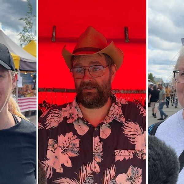 Emma Bjärgestad, Magnus Borgeryd och Lena Danielsson på Åsele marknad