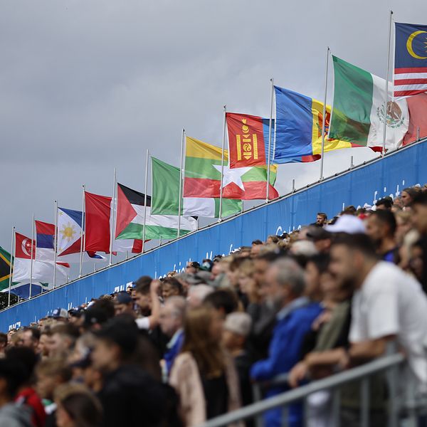 Gothia cup läktare
