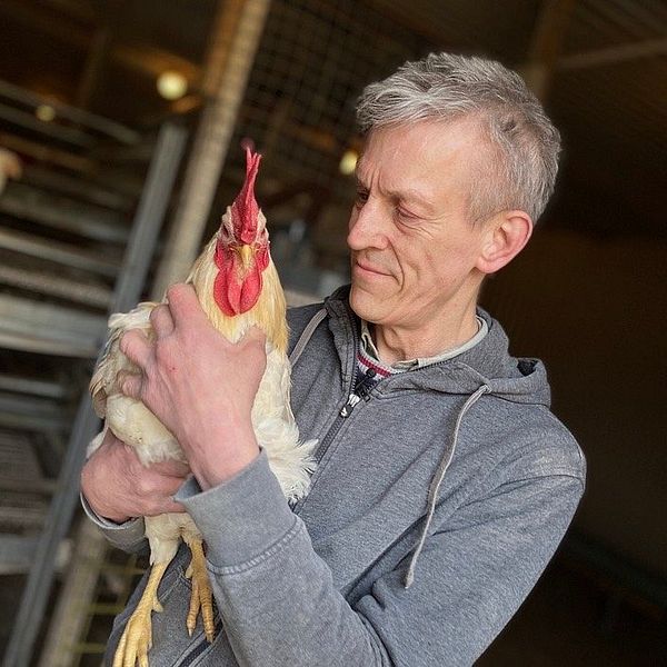Ekoproducenten Peter Jonsson håller i en tupp på sin gård Sanda Hönseri. Ekoproducenten ler mot tuppen och tuppen tittar rakt in i kameran.