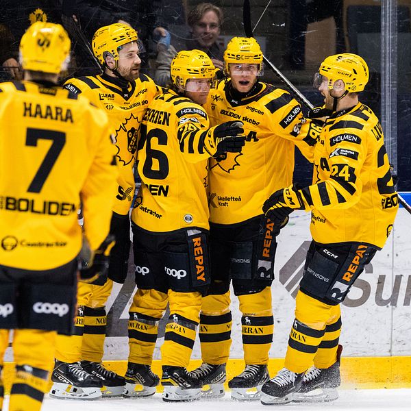 skellefteå aik