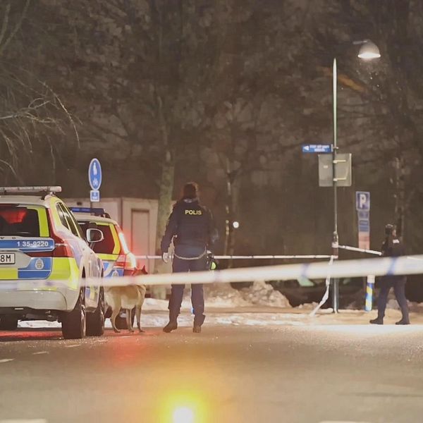 En massa poliser vid en skottlossning.