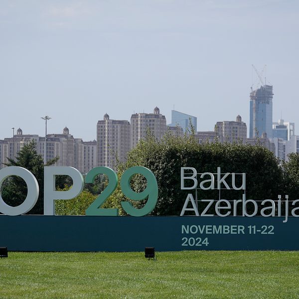 COP29-skylt i Baku, Azerbaijan, med datum 11-22 november 2024, omgiven av grönska och en stadsprofil i bakgrunden.