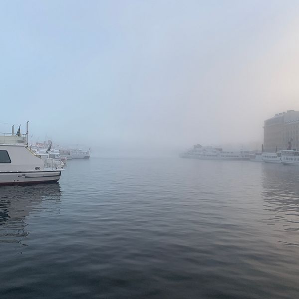 Vaxholmsbåtar i Nybroviken, dimma över vattnet.