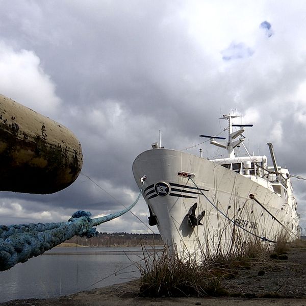 Baltic star vid kaj