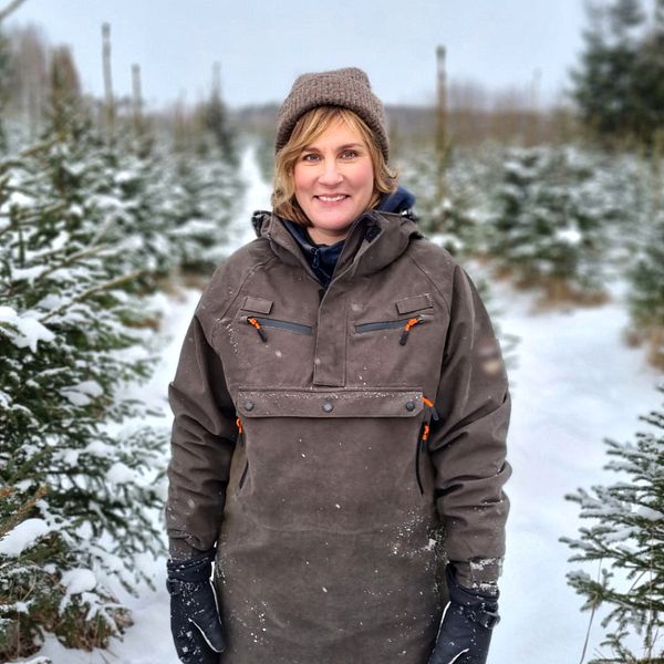 Lisa Nylinder, julgransodlare i Norrhörende i Sala kommun.