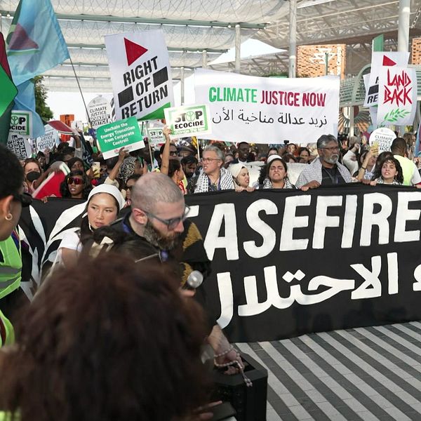 Fredsmanifestation för Gaza på klimattoppmötet i Dubai