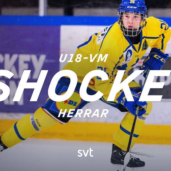 Sveriges Alexander Zetterberg. – Ishockey: U18-VM