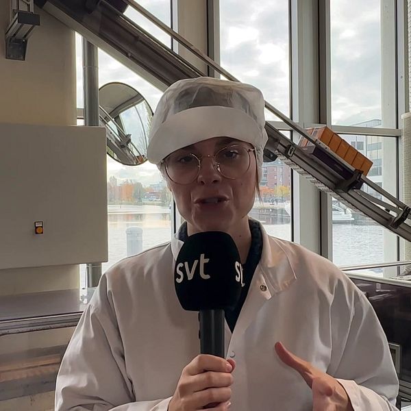 SVT:s reporter Maria Krums inne i kaffeproduktionen.