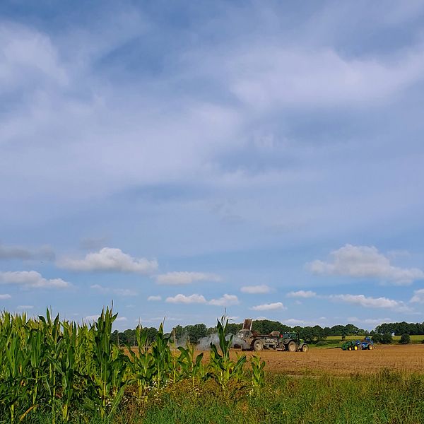 Bjersgård, Skåne den 30/8.