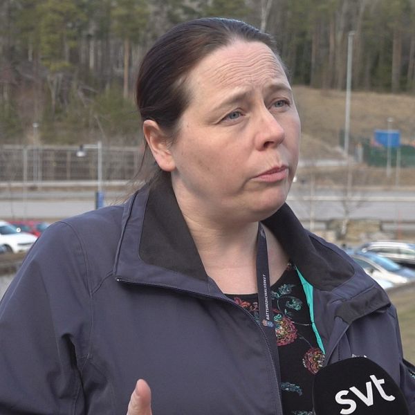 Rättspsykiater Katarina Howner förklarar hur tvångsvård fungerar