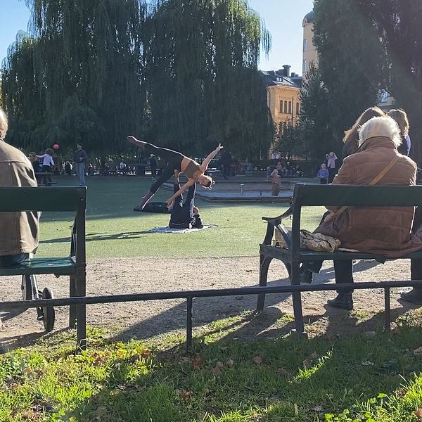 Nytorget i Stockholm