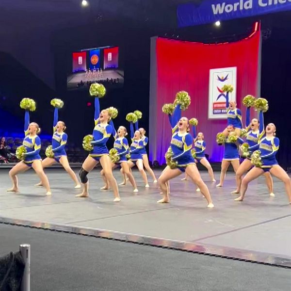 Cheerleadinglag i blå och gula dräkter uppträder på internationell tävling inomhus.