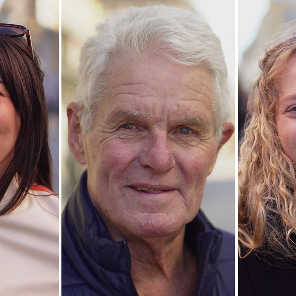 Tre Uppsalabor intervjuas i en video.